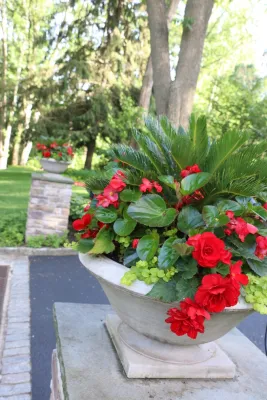 Lloyd Harbor 3 — Landscape Construction project by Main Street Nursery