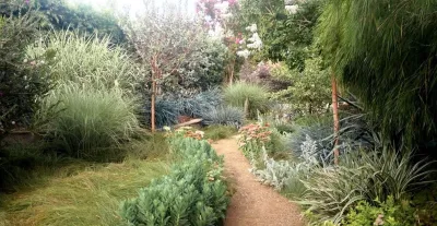 Winnetka — Landscape Construction project by Majestic Landscaping Inc