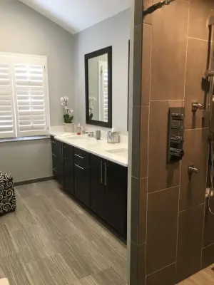 Heather's Premier Bathroom — Home Renovation & Remodeling Services project by Newmyer Distinctive Remodeling