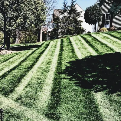 Lawn Maintenance — Landscape Construction project by Makeover My Yard