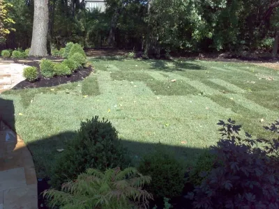 MALA LLC - Michael Ashley Landscape Architecture - Landscape Maintenance in Prairie Village, KS