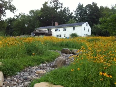 Camilla Landscape Design LLC - Tree & Shrub Care in Sherman, CT