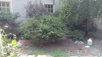 M&M Garden Designs, LLC - Tree & Shrub Care in Killingworth, CT