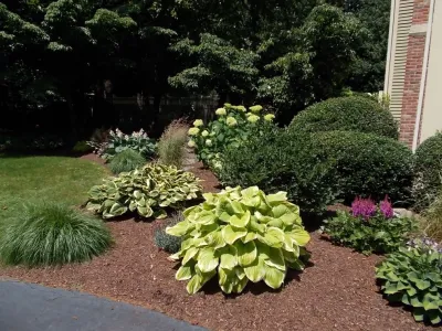 M&M Garden Designs, LLC - Tree & Shrub Care in Killingworth, CT