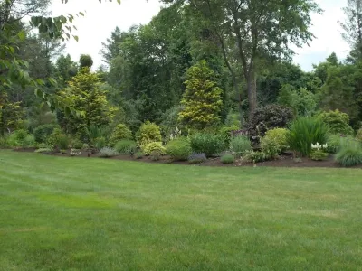 M&M Garden Designs, LLC - Tree & Shrub Care in Killingworth, CT