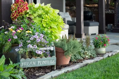 Mangold Horticulture - Drip Irrigation System Installation in Excelsior, MN
