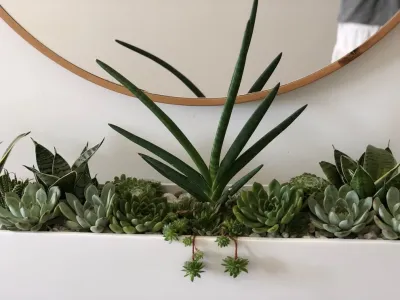 Interior Plant Scape by Camille Beehler Landscape Design