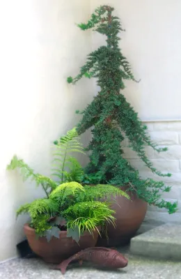 Margie Grace - Grace Design Associates - Garden Remodeling in Santa Barbara, CA