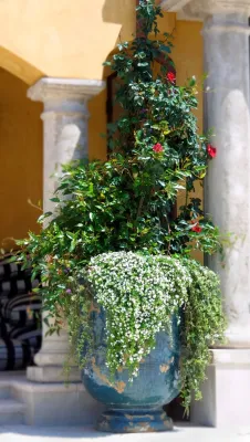 Margie Grace - Grace Design Associates - Garden Remodeling in Santa Barbara, CA