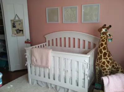 Blush and Sparkle Nursery Decor — Interior Design & Decorating project by Thompson Interior Design