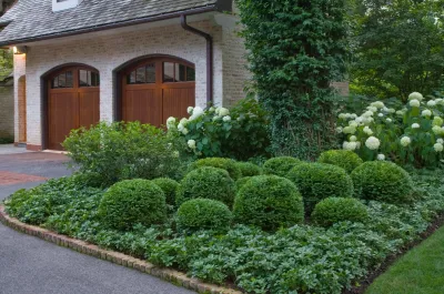 Mariani Landscape - Lawn Aeration in Lake Bluff, IL