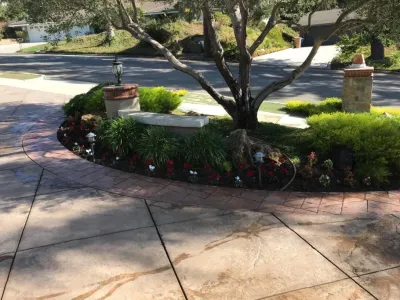 Mark's Landscape Service - Lawn Edging & Trimming in Camarillo, CA