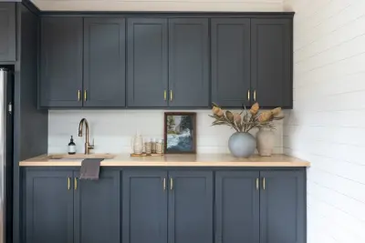 Audrey Scheck Design - Kitchen Remodeling in Austin, TX