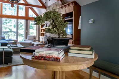 Brian H Murray Interior Design - Kitchen Remodeling in Raleigh, NC