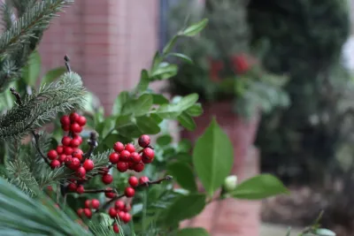Mary Berry's Gardening - Tree & Shrub Care in Ypsilanti, MI