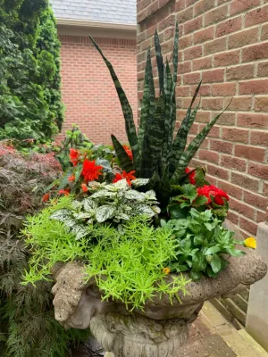 Mary Berry's Gardening - Tree & Shrub Care in Ypsilanti, MI