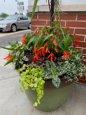 Mary Berry's Gardening - Tree & Shrub Care in Ypsilanti, MI