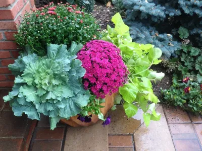 Mary Berry's Gardening - Tree & Shrub Care in Ypsilanti, MI