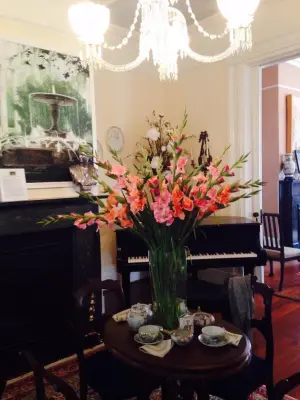 Provenance Lee Interiors - Window Installation & Replacement in Charleston, SC