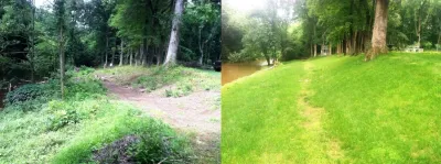 Land Clearing and Finish Grading — Landscape Construction project by Mason's Landscaping And Construction LLC