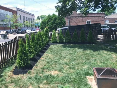 Arborvitaes Installed — Landscape Construction project by Mason's Landscaping And Construction LLC