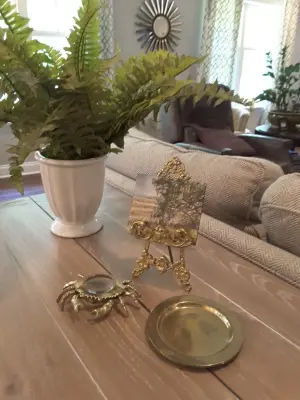 DF Design - Professional Home Organizers in Gainesville, FL