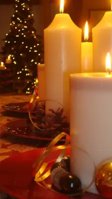 Holiday Ornamentation — Interior Design & Decorating project by Transformations