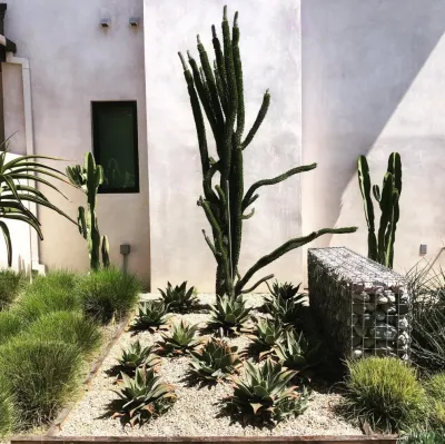 Amirie Residence by Camille Beehler Landscape Design