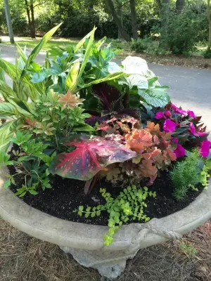 Jayne Remodels (Jayne McGinn Designs) - Landscape Design in New Bern, NC