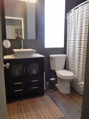 Modern Bathroom Renovation — Interior Design & Decorating project by Jill Nelson Design Service