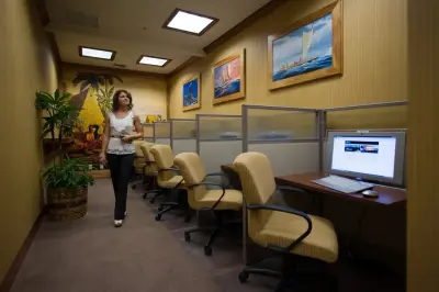 Business Initiative — Interior Design & Decorating project by Interior Design Solutions Maui