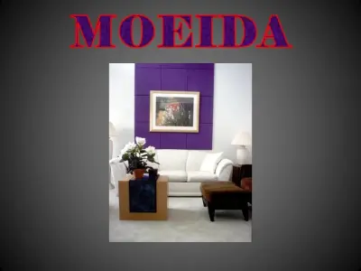 Moeida - Professional Home Organizers in Kalamazoo, MI