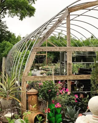 Meador Nursery - Tree & Shrub Care in Denton, TX