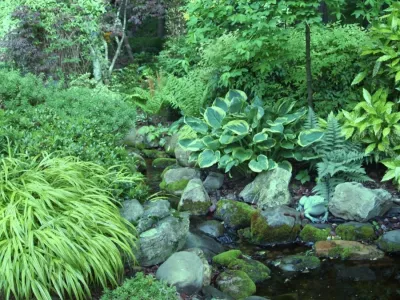 Meadows Farms - Landscape Maintenance in Chantilly, VA