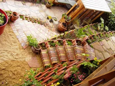 Mediterrasian Landscapes - Tree & Shrub Care in San Francisco, CA