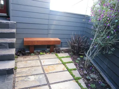 Mediterrasian Landscapes - Tree & Shrub Care in San Francisco, CA