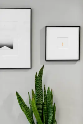 Carl Pallini LLC - Professional Home Organizers in San Diego, CA