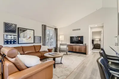 Modern Living Room in the Denver Area — Interior Design & Decorating project by CDR Design, LLC