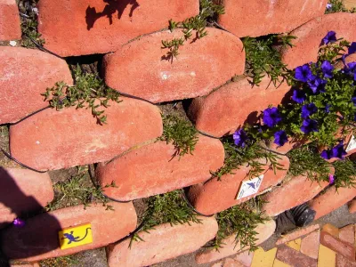 Mediterrasian Landscapes - Tree & Shrub Care in San Francisco, CA
