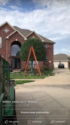 Meliton Landscaping & Tree Services - Lawn Care & Mowing in Baytown, TX