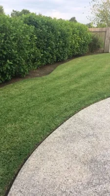 Meliton Landscaping & Tree Services - Lawn Care & Mowing in Baytown, TX