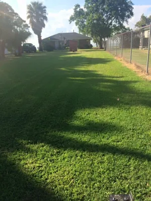 Meliton Landscaping & Tree Services - Lawn Care & Mowing in Baytown, TX