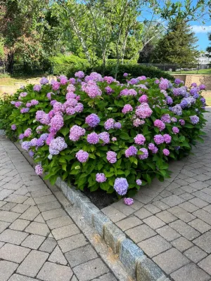Mendoza Landscaping and Lawn Service LLC 4 — Landscape Construction project by Mendoza Landscaping And Lawn Sercice LLC