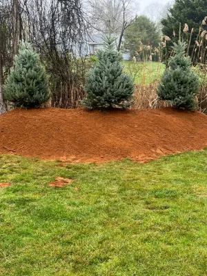 Mendoza Landscaping and Lawn Sercice LLC 8 — Landscape Construction project by Mendoza Landscaping And Lawn Sercice LLC