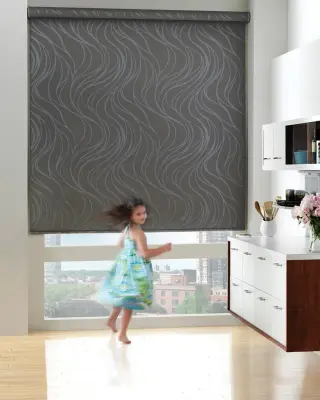 Designer Window Shades by Debbie Fornoff Interior Design And Draperies