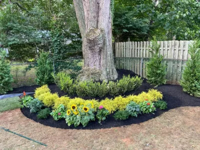 Mendoza Landscaping and Lawn Service LLC 6 — Landscape Construction project by Mendoza Landscaping And Lawn Sercice LLC
