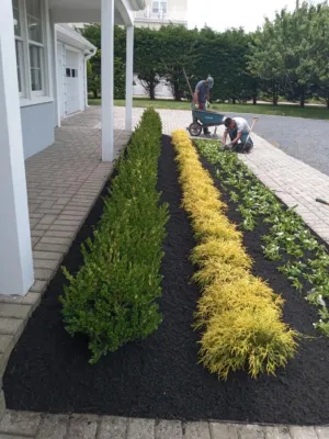 Mendoza Landscaping and Lawn Sercice LLC 1 — Landscape Construction project by Mendoza Landscaping And Lawn Sercice LLC