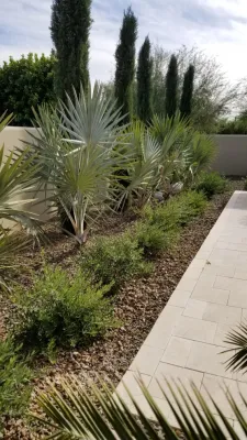 Paradise Valley VII — Landscape Construction project by Merit Landworks
