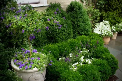 Merrifield Garden Center - Tree & Shrub Care in Merrifield, VA