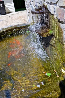 Landscaping | Waterfall | Koi Pond | Thornwood NY — Landscape Construction project by MG's Lawn Green Inc